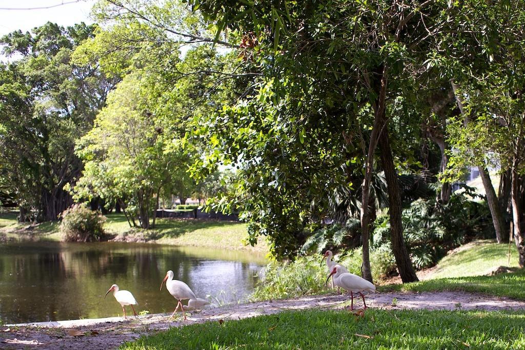 Club Wyndham Palm-Aire Hotel Pompano Beach Bagian luar foto